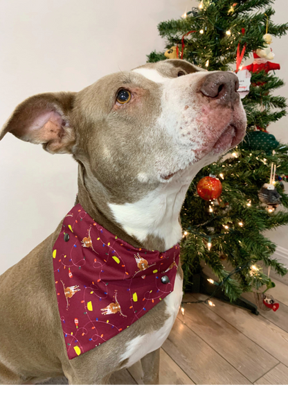 Hooked On The Holiday Pet Bandana | Pet Obsessed Peopel