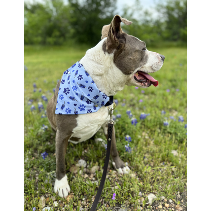 Pawstin, Texas - Pet Bandanas