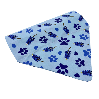 Pawstin, Texas - Pet Bandanas