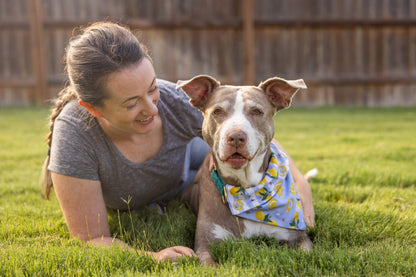 Tudo Beleza Lemon Pet Bandana - Stripped