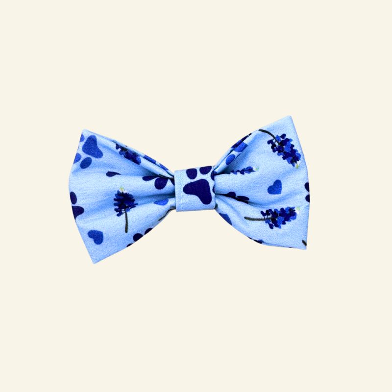 Bluebonnet Bows - Sailor and Regular