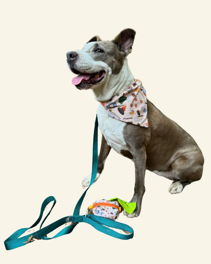 Let's Go Camping Pet Bandanas