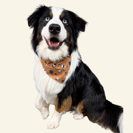 Coffee Pawwnoisseur Bandanas