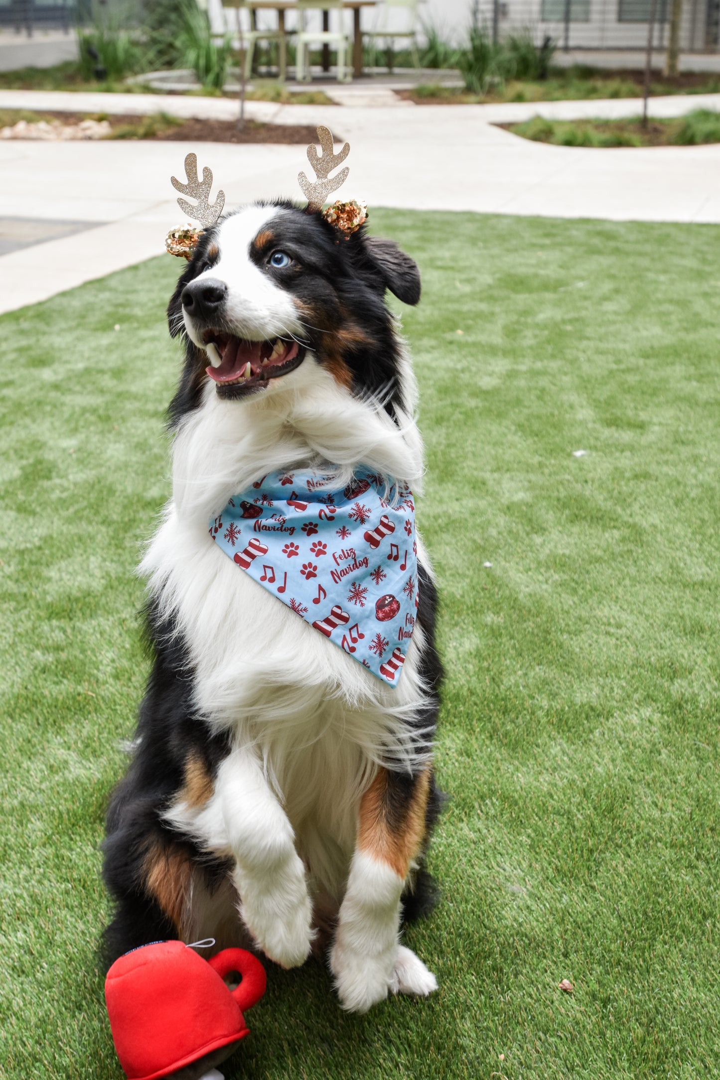 Feliz Navidog Pet Bandanas