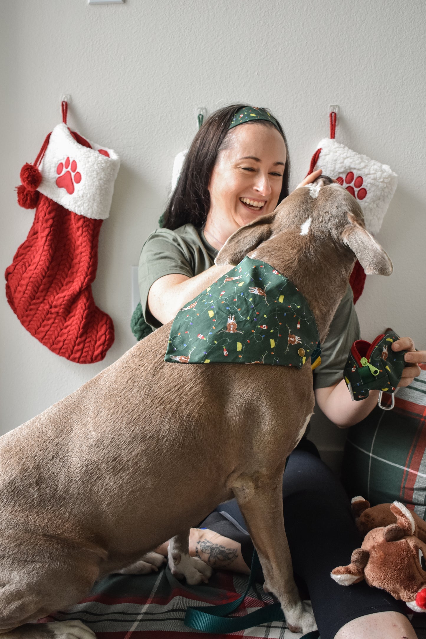 Hooked On The Holidays Pet Bandanas