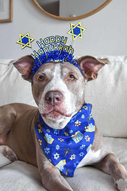 Pawnukkah Pet Bandanas