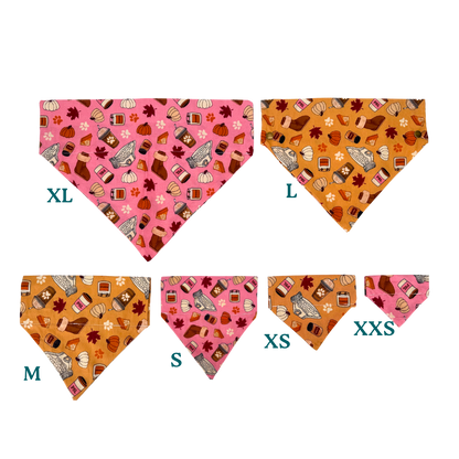 Custom Pet Bandanas