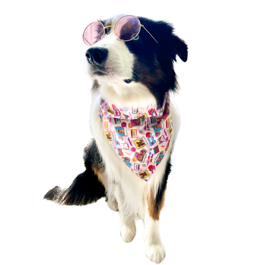 Groovy 'n Furout Pet Bandanas