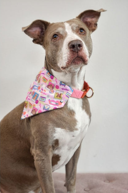 Groovy 'n Furout Pet Bandanas