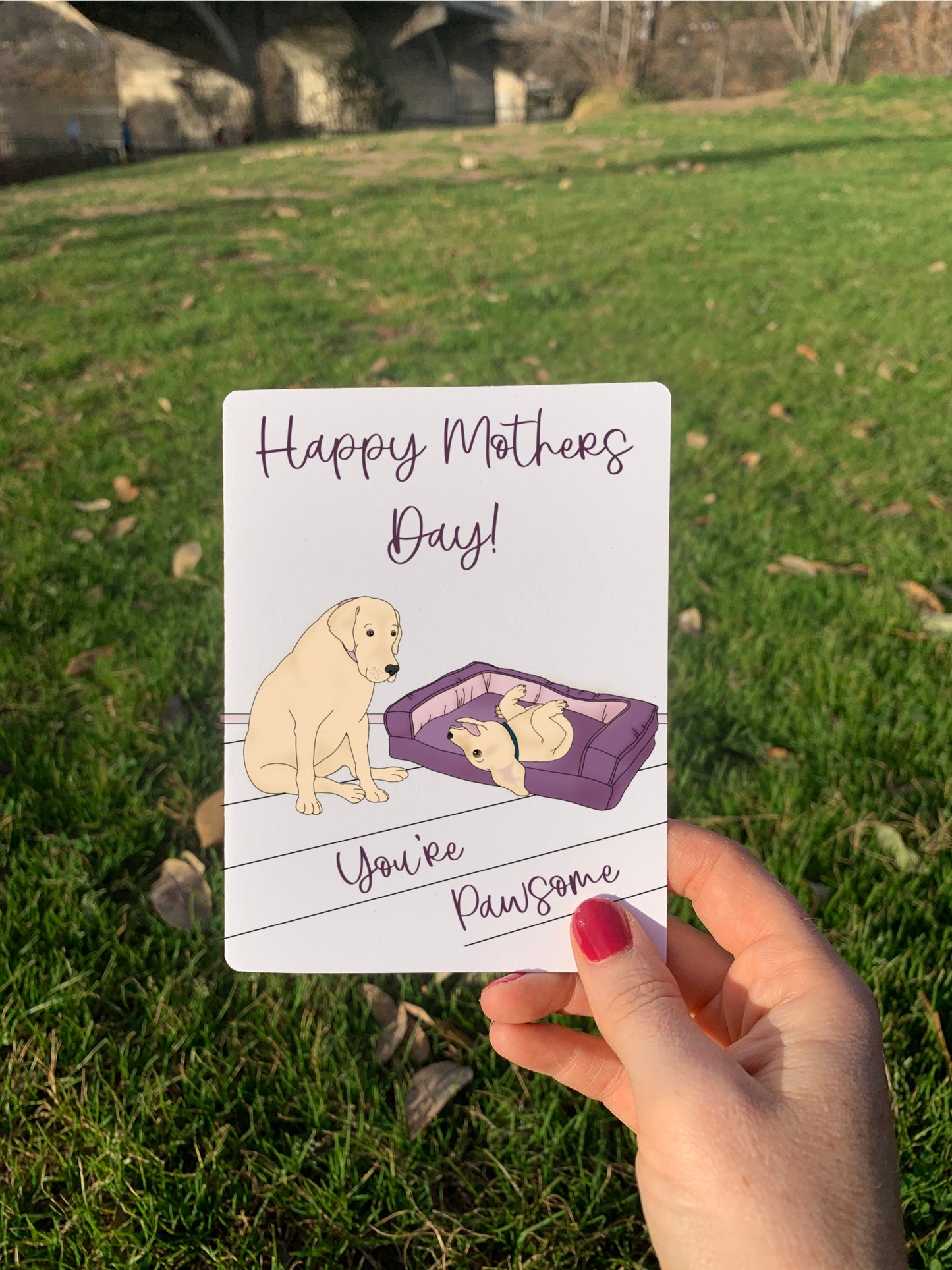 Mother's Day Cards - Pawsome and Purrrfect Cards (Sassy Option Available)
