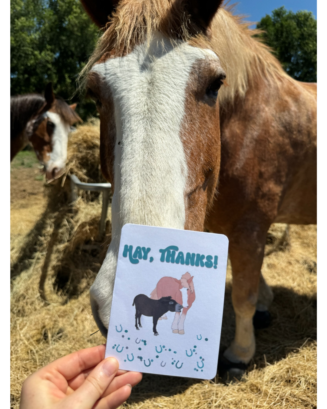 Hay, Thanks! 100% Tree Free Card | Thank You Card