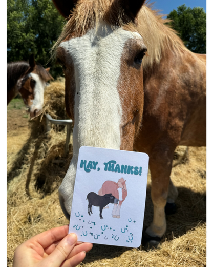 Hay, Thanks! 100% Tree Free Card | Thank You Card