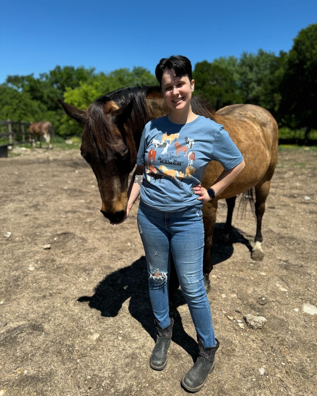 Soulful Steeds Healing With Horses Unisex t-shirt