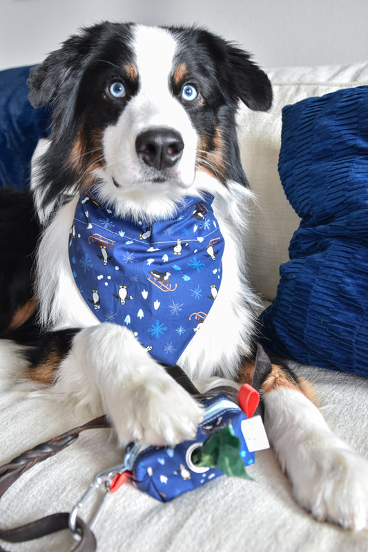 Cute holiday bandana for your pet, dogs and cats too! Complete with cute penguins running a holiday muck with snowball fights and ridding sleighs down the snowy hill!