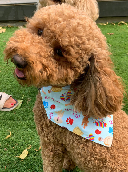 It's a Pawty - Fiesta Bandanas - Slip on and Snap-able Pet Bandanas