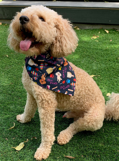 It's a Pawty - Fiesta Bandanas - Slip on and Snap-able Pet Bandanas