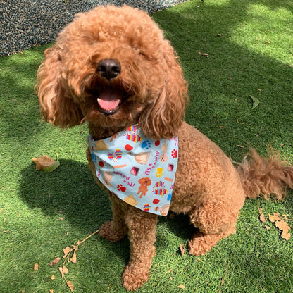 It's a Pawty - Fiesta Bandanas - Slip on and Snap-able Pet Bandanas