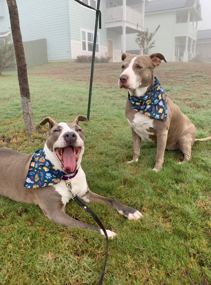 Taco Bout A Pawty - Slip on and Snap-able Pet Bandanas