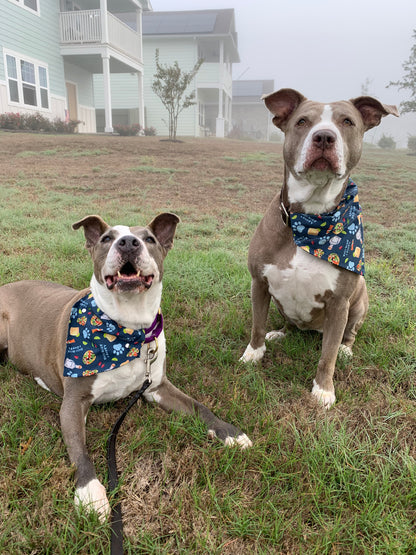 Taco Bout A Pawty - Slip on and Snap-able Pet Bandanas