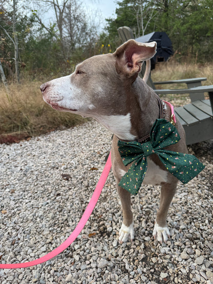 Pawliday Bows - Sailor and Regular