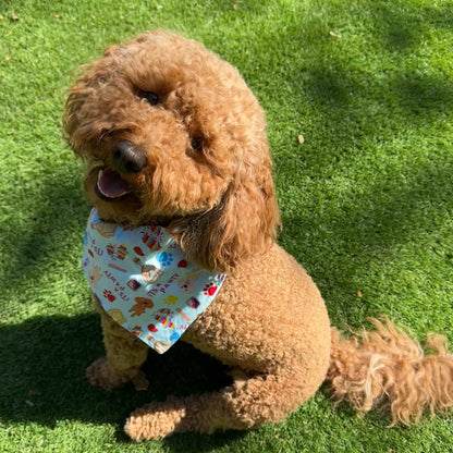 It's a Pawty - Fiesta Bandanas - Slip on and Snap-able Pet Bandanas