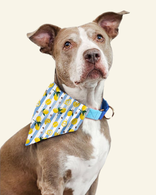 Tudo Beleza Lemon Bandana (Pre Order)