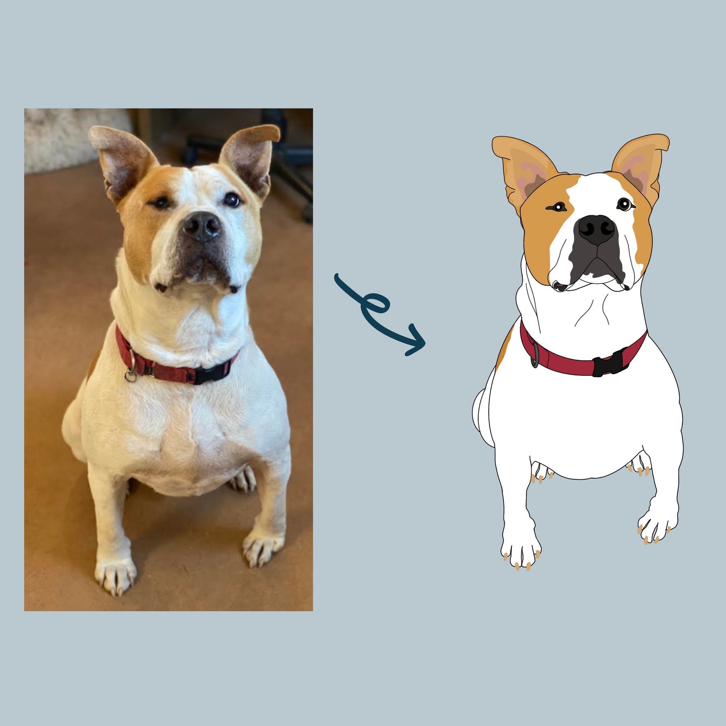Custom Pet Portrait - Step 1: Digital Design