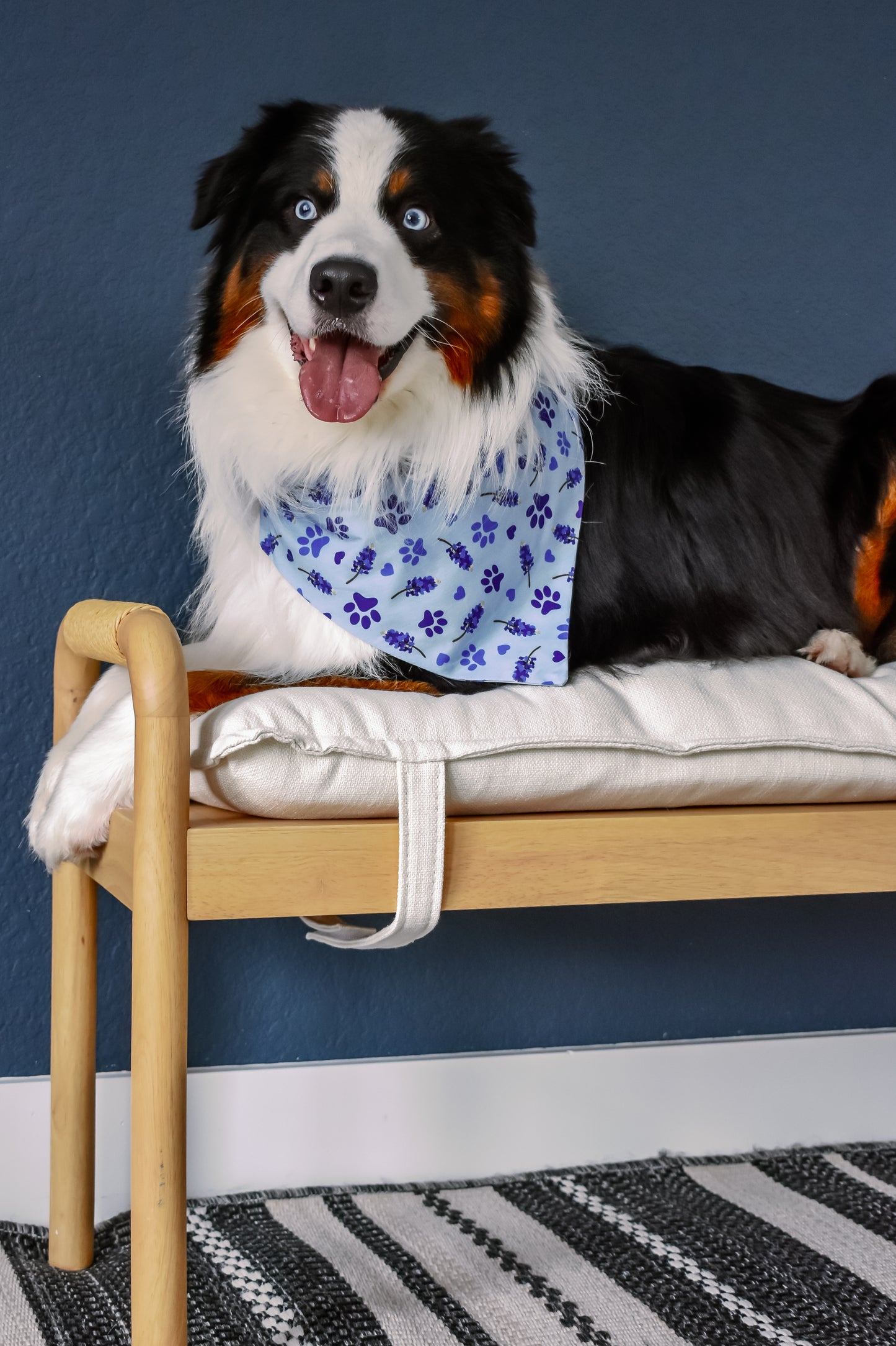 Pawstin, Texas - Pet Bandanas