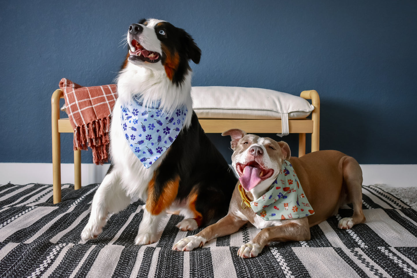 i Love You So Much Pawstin - Pet Bandanas