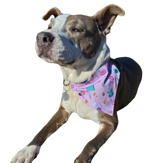 Pajama Pawty Bandana