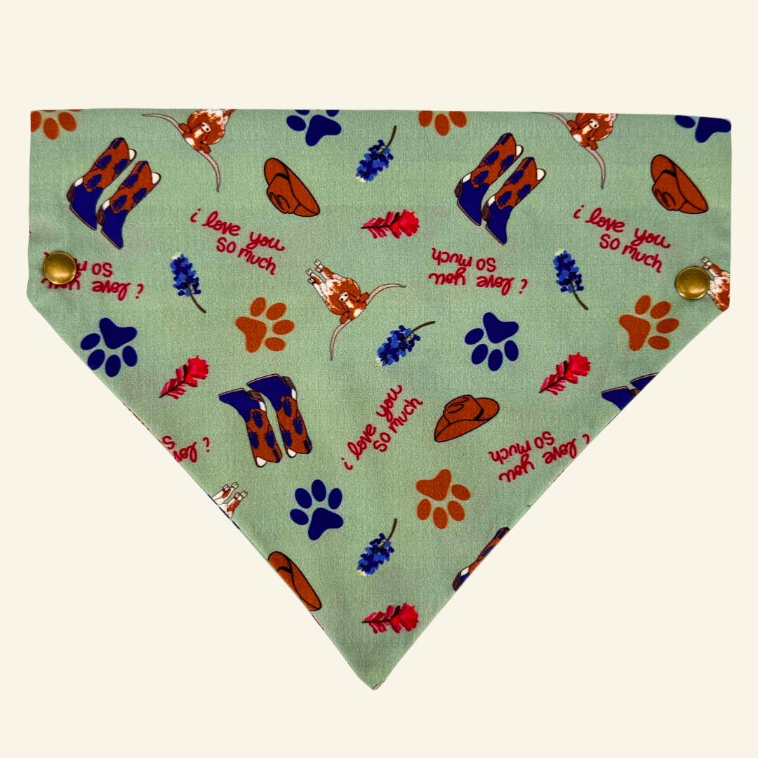 i Love You So Much Pawstin - Pet Bandanas