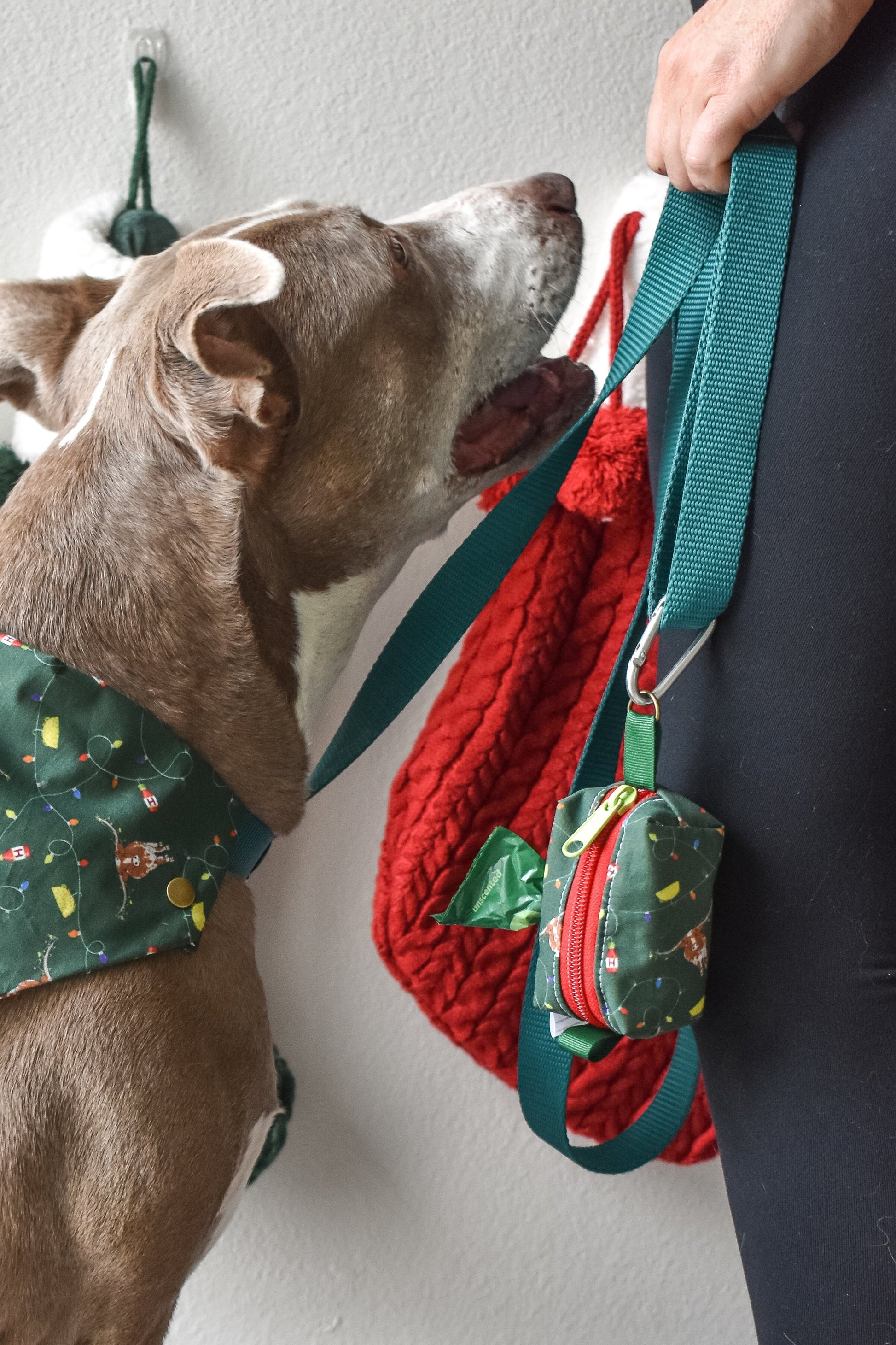 Holiday Poop Bag Holder Pouch, hooked on the holidays