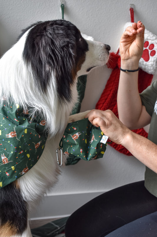 Treat pouch with food safe lining, in holiday print named "hooked on the holidays" with cute long horn tangled in tree lights with taco and hot sauce ornaments
