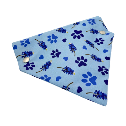 Pawstin, Texas - Pet Bandanas