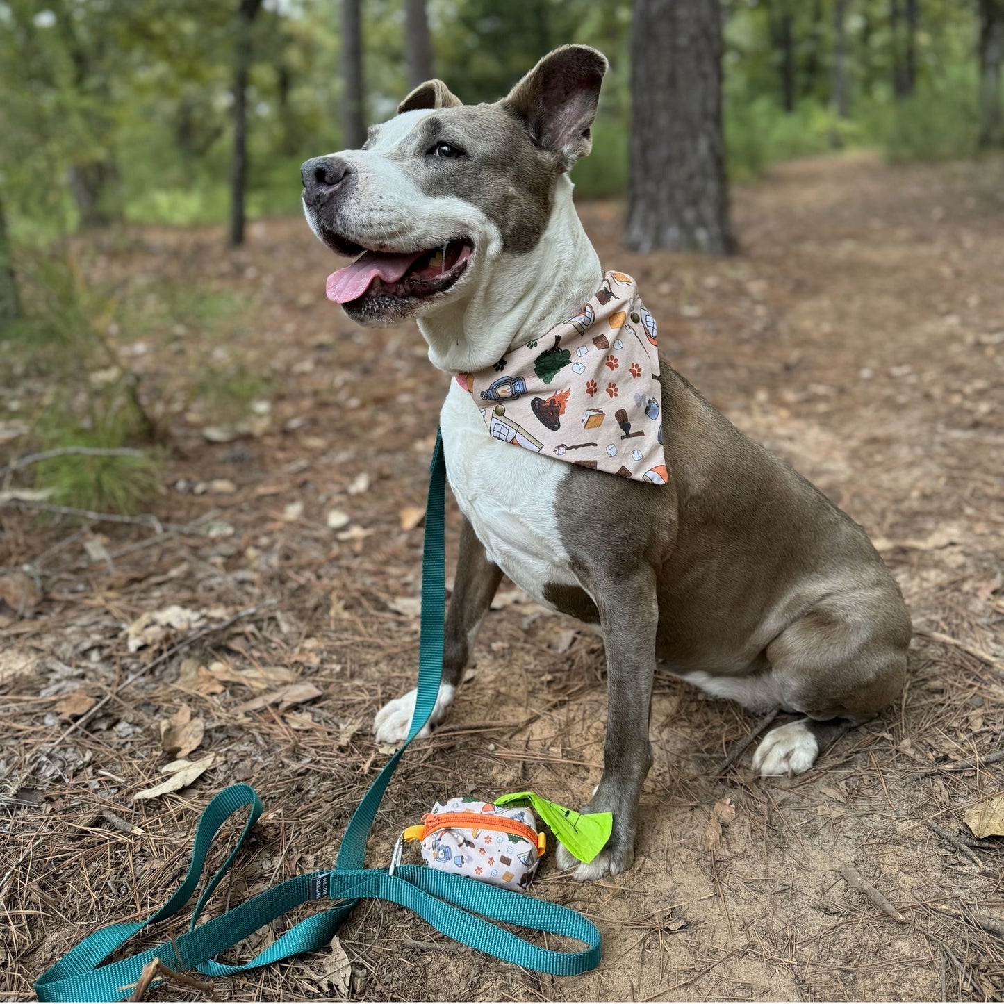 Let's Go Camping Pet Bandanas