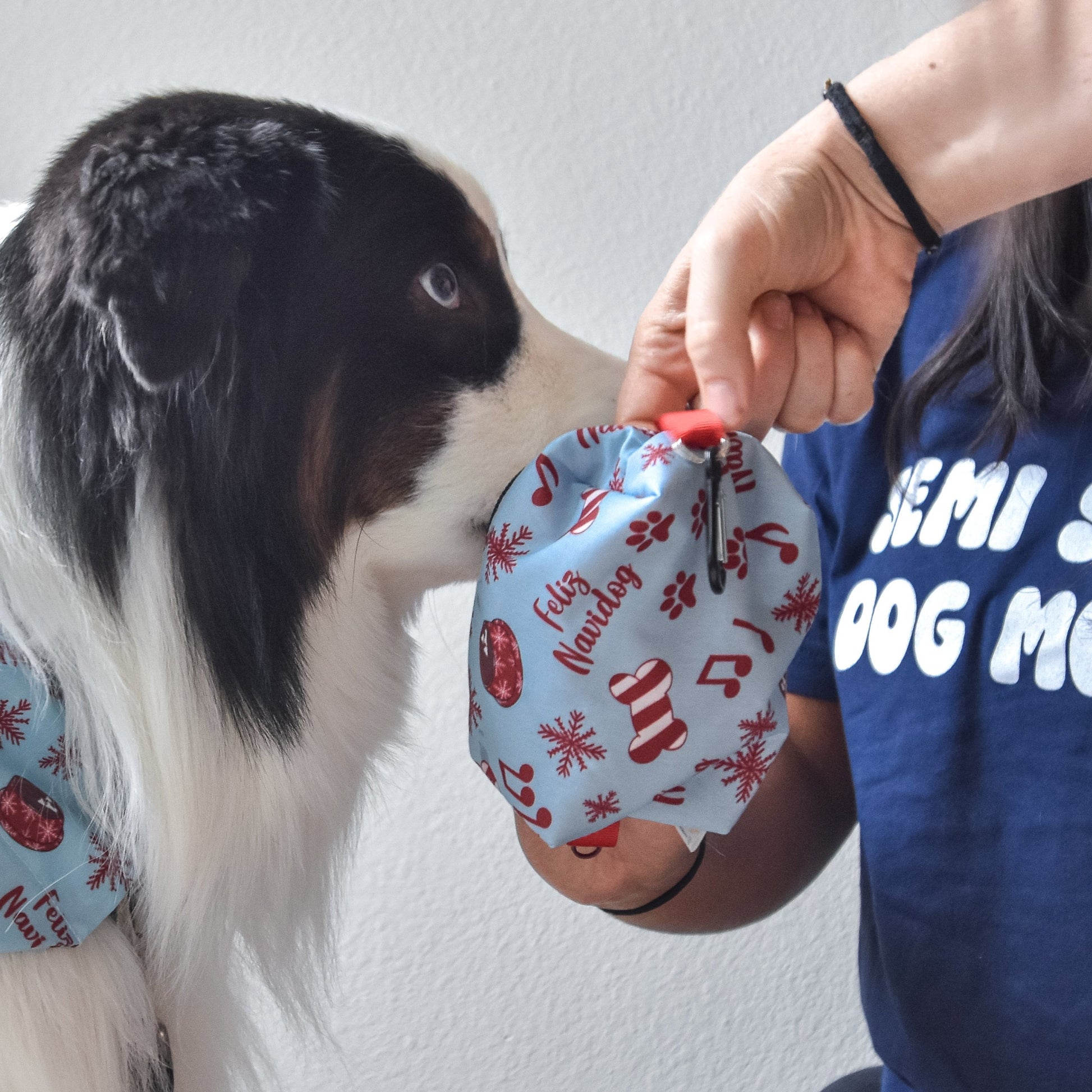 feliz navidog treat pouch ultimate holiday snack pouch for dogs