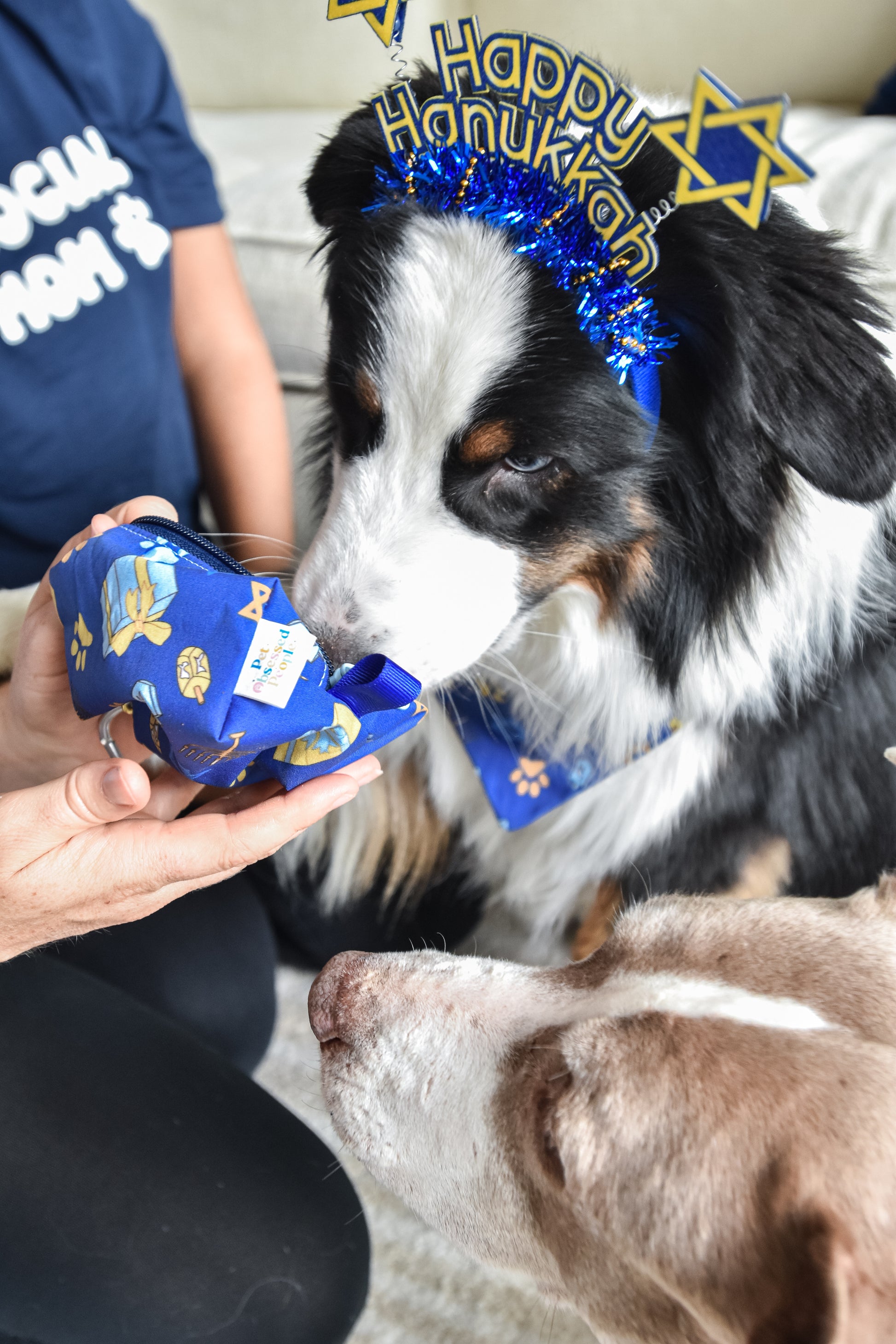 henry celebrating pawnukkah by sneaking some treats out of his cute holiday themed treat pouch with a food safe lining to keep his treats safe and fresh!