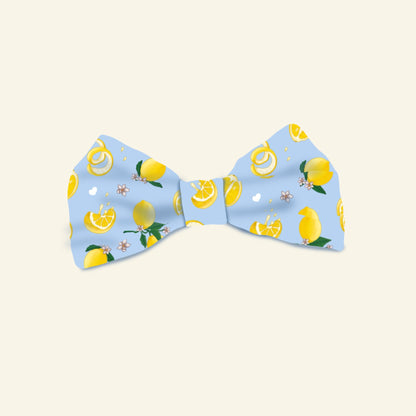Tudo Beleza Sailor and Regular Bows (Pre Order)