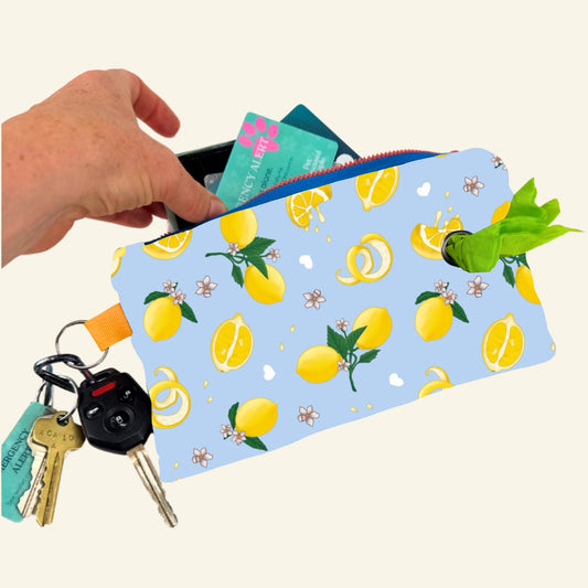 Tudo Beleza Pet Ready Hand Purse  (Pre Order)