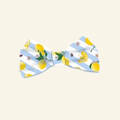 Tudo Beleza Sailor and Regular Bows (Pre Order)