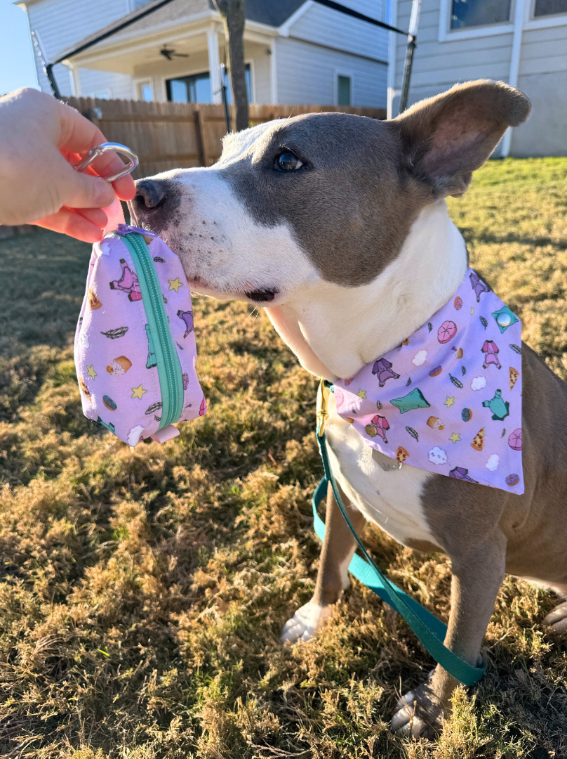 Pajama Pawty Treat Pouch With Food Safe Lining