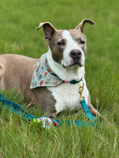 i Love You So Much Pawstin - Pet Bandanas