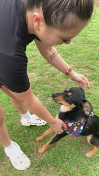 It's a Pawty - Fiesta Bandanas - Slip on and Snap-able Pet Bandanas