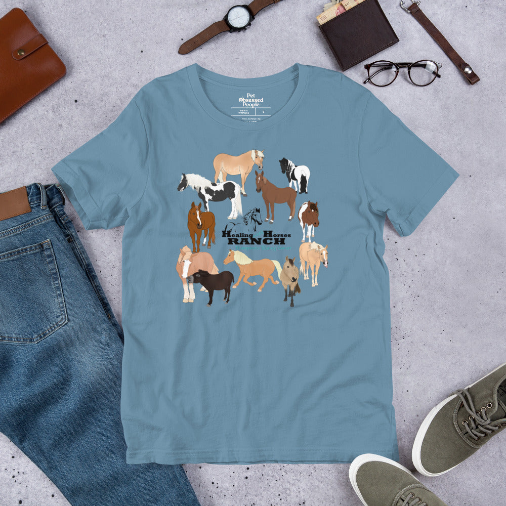 Soulful Steeds Healing With Horses Unisex t-shirt