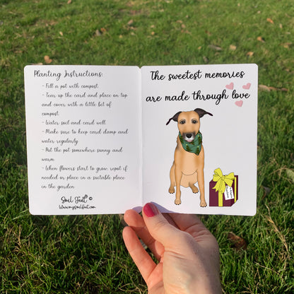 Seeded Pet Memorial Card | Soul Feat | Pet Portrait