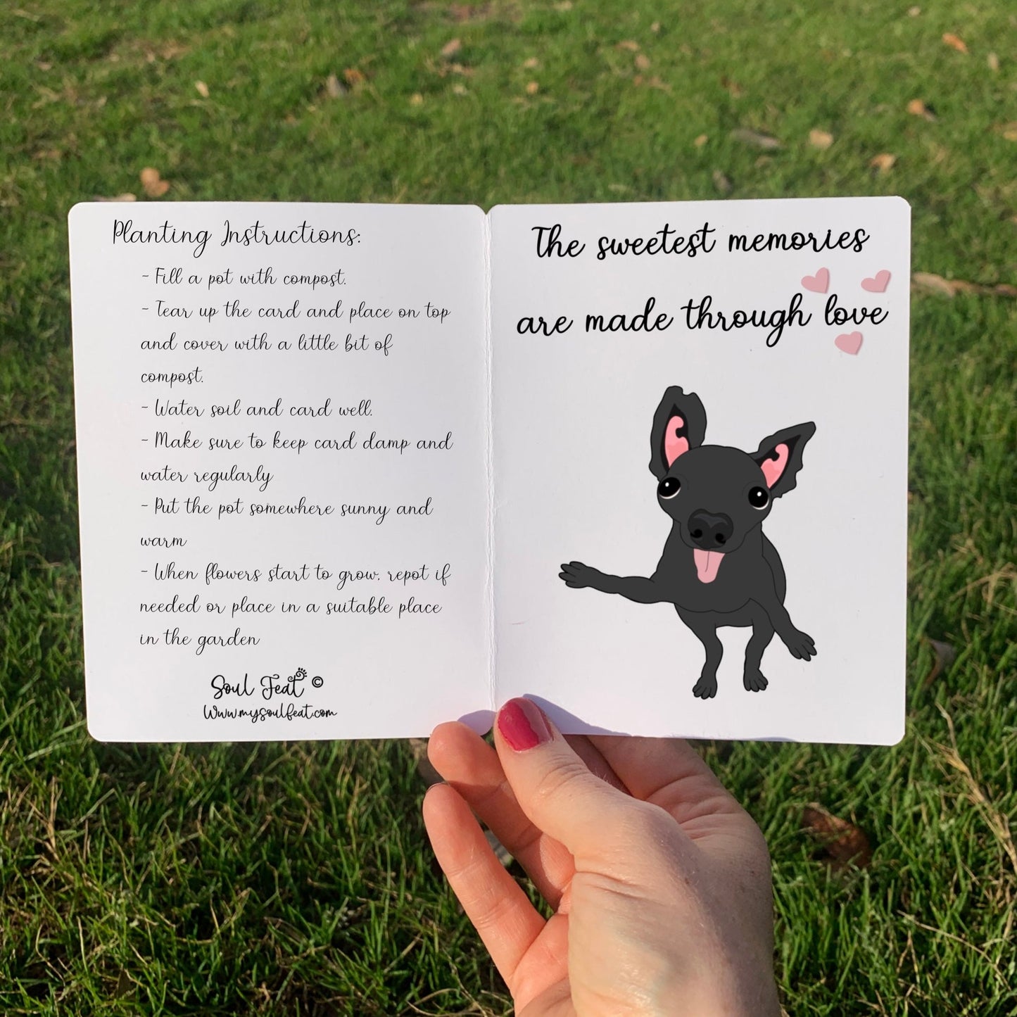 Seeded Pet Memorial Card | Soul Feat | Pet Portrait