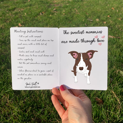 Seeded Pet Memorial Card | Soul Feat | Pet Portrait