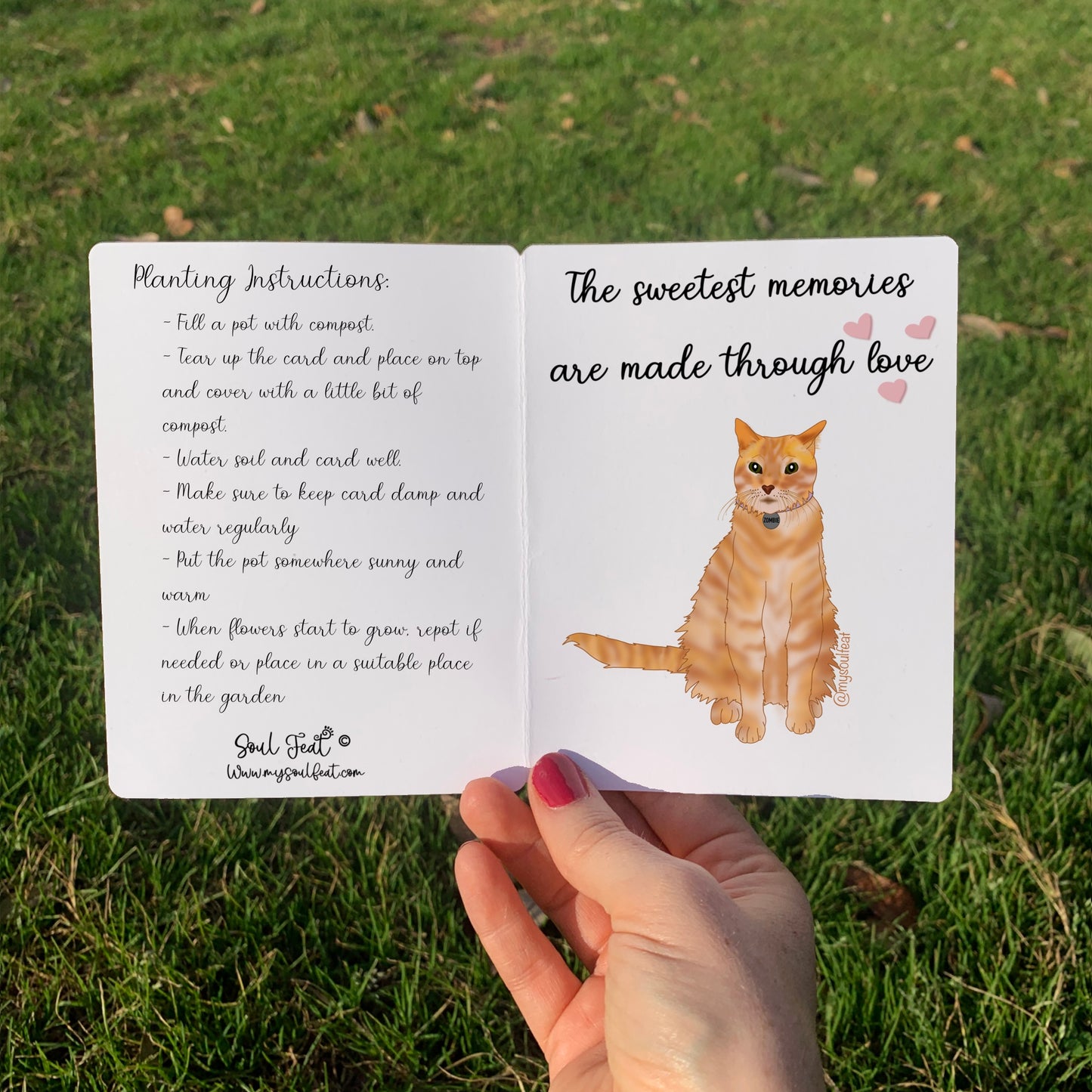 Seeded Pet Memorial Card | Soul Feat | Pet Portrait