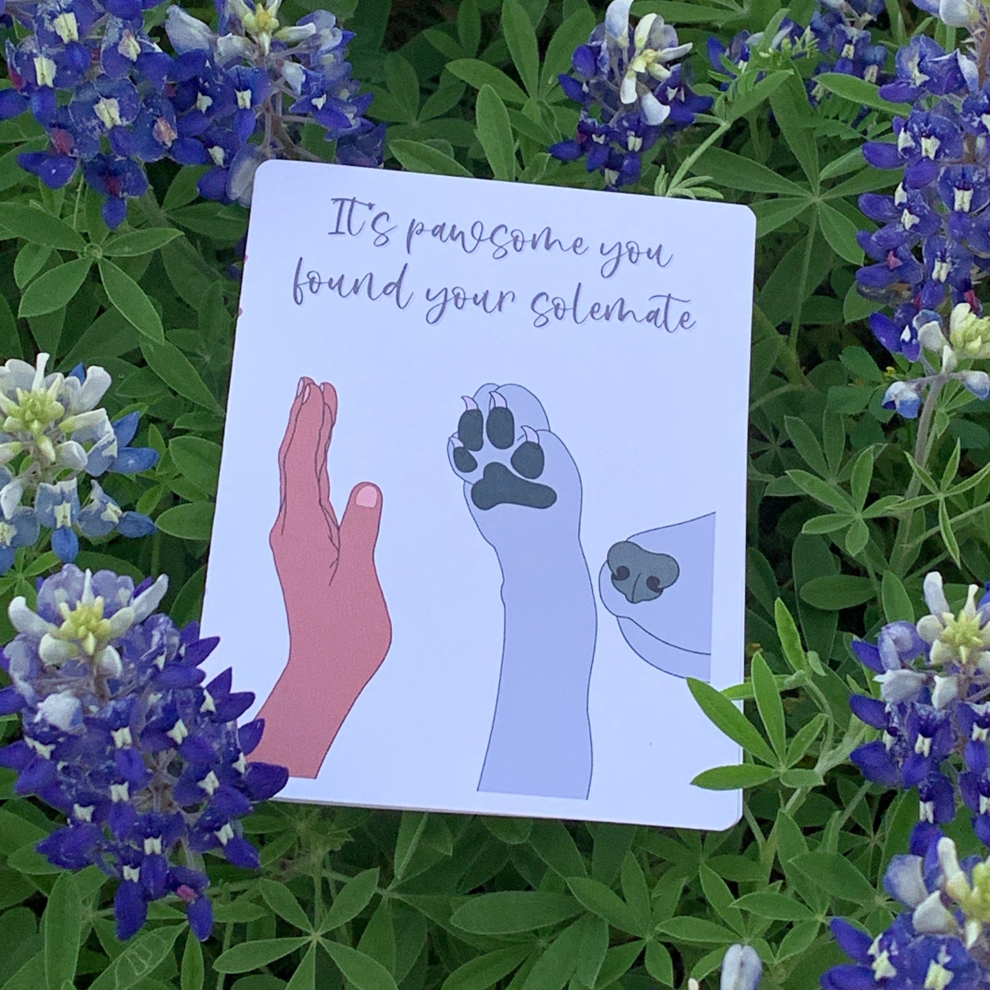 Pet Adoption Cards to Celebrate Your Furry Friend's New Beginning